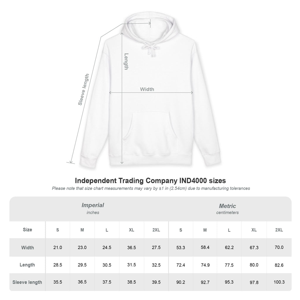 1976 Born to Resist Hoodie – Retro Fist Graphic Sweatshirt